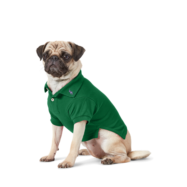 Cotton Mesh Dog Polo Shirt
