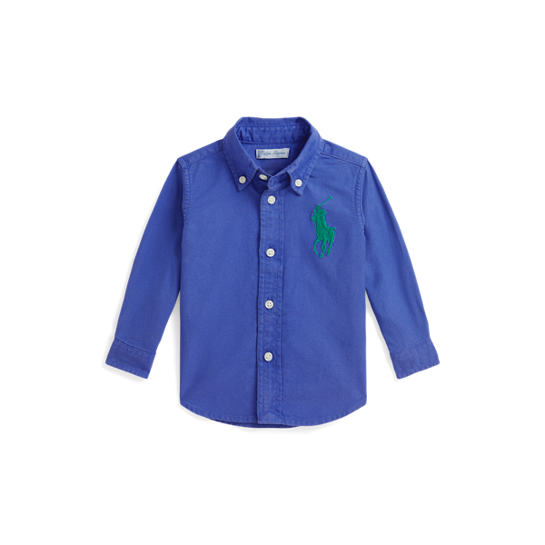 Ralph Lauren Big Pony Cotton Oxford Shirt In Blue